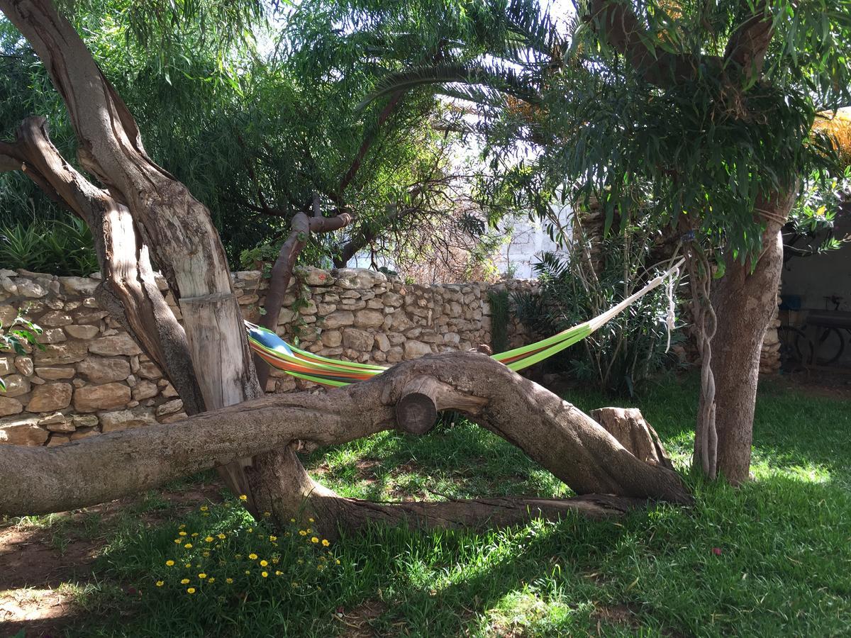 Auberge De La Plage Sidi Kaouki Exterior foto
